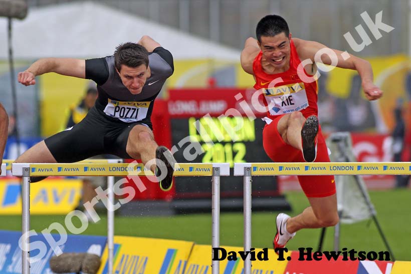 Andrew Pozzie and Xie Wenjun, 110 metres hurdles, 2012 Samsung Diamond League, Crystal Palace, London.